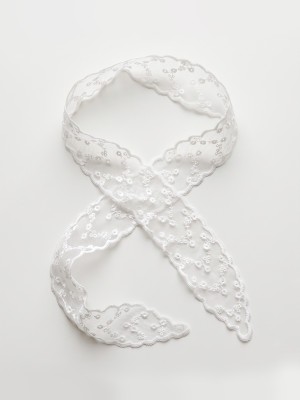 Lace Other Pattern Ribbon