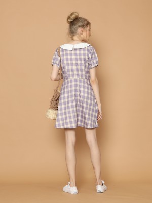 Gingham Aline Dress