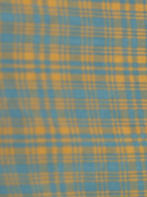 Checkered Crop Shirt