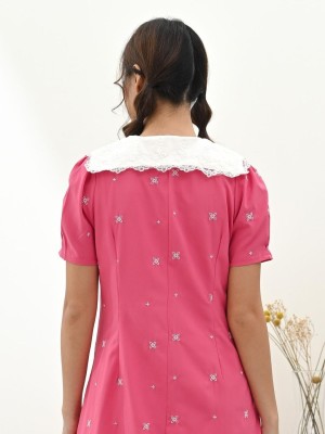 Embroidered collar mini dress