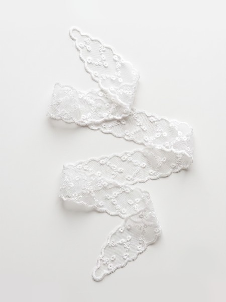 Lace Other Pattern Ribbon