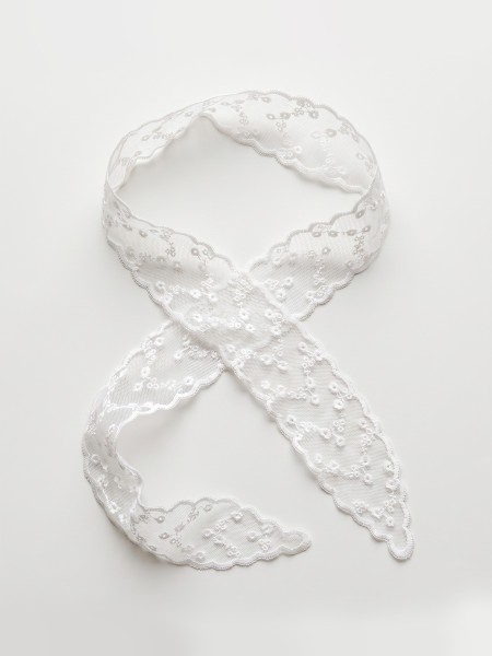 Lace Other Pattern Ribbon