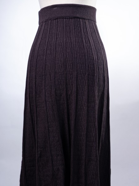 WW Pattern Knit Midi Skirt