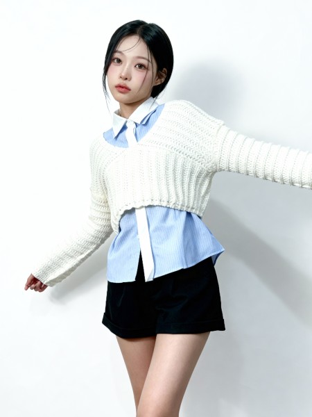 Leni Crop Thick Knit Top