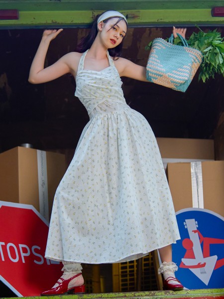 SEA Halter Seaside Dress