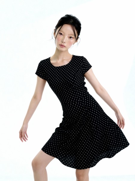 Aneira Polka Classic Dress