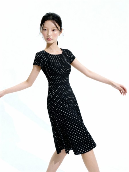 Aneira Polka Classic Dress