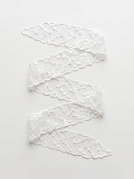 Lace Other Pattern Ribbon