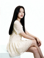 Lucy Embroidery Ribbon Gold Button Mini Dress