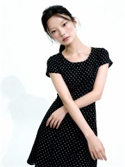 Aneira Polka Classic Dress