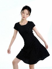 Aneira Polka Classic Dress