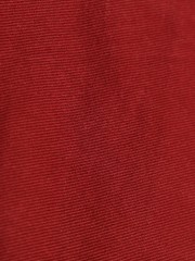 SS23 Antonia Short