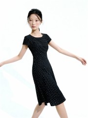 Aneira Polka Classic Dress